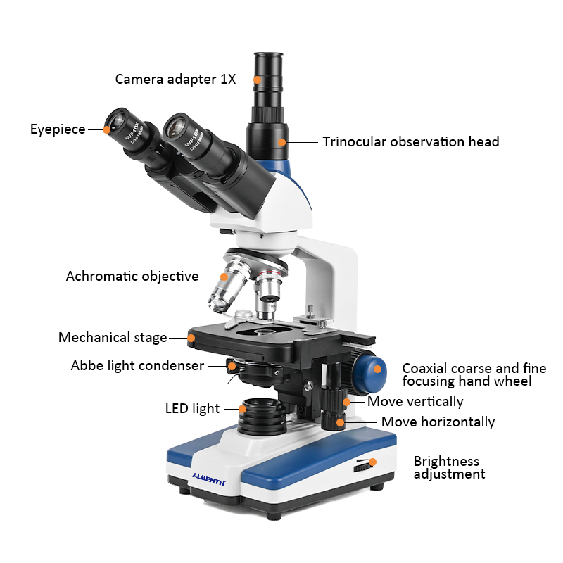 40X-2500X Professional Biologi - Microscope Compound 40X review and price