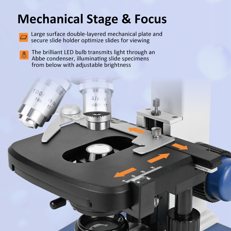 40X-2500X Professional Biologi - Microscope Compound 40X review and price