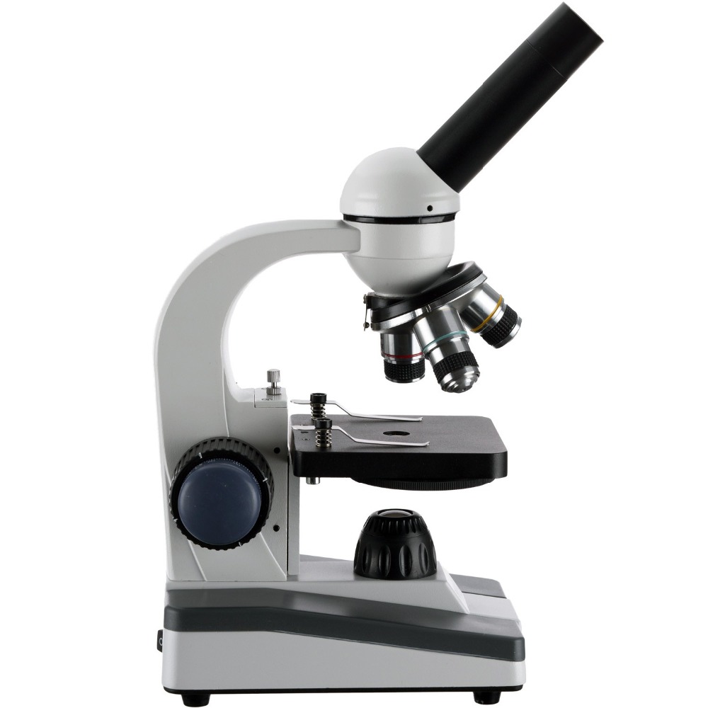 AmScope M150 Series Portable L - Microscope Compound 40X review and price