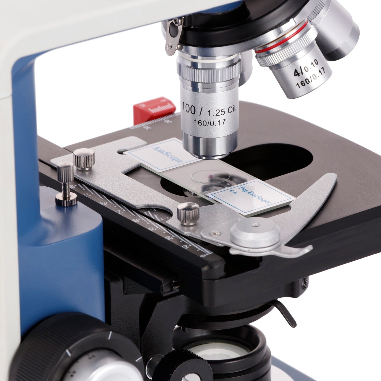 AmScope 40X-2500X Student Bino - Microscope Compound 40X review and price