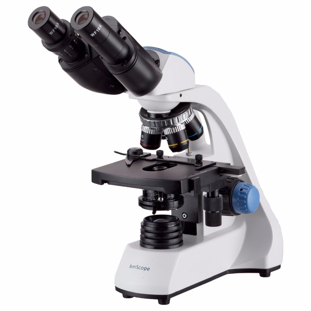 AmScope 40X-2000X LED Binocula - Microscope Compound 40X review and price