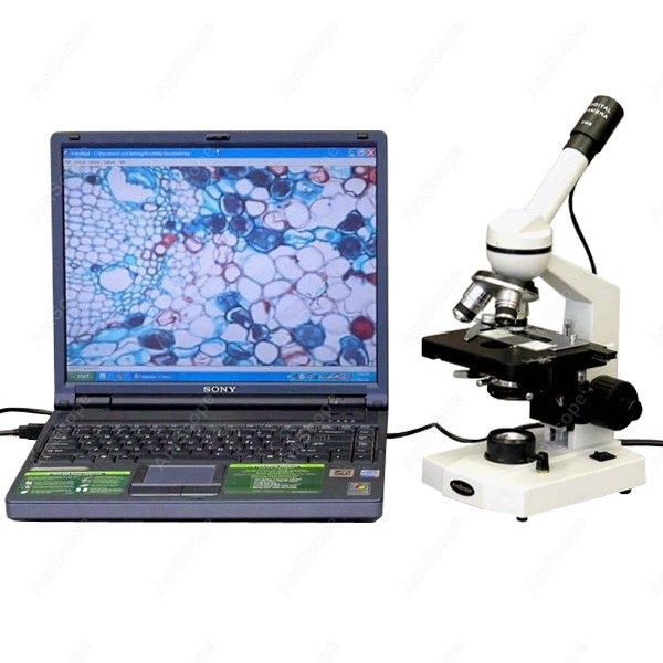 AmScope M600 Series Student Mo - Microscope Compound 40X review and price