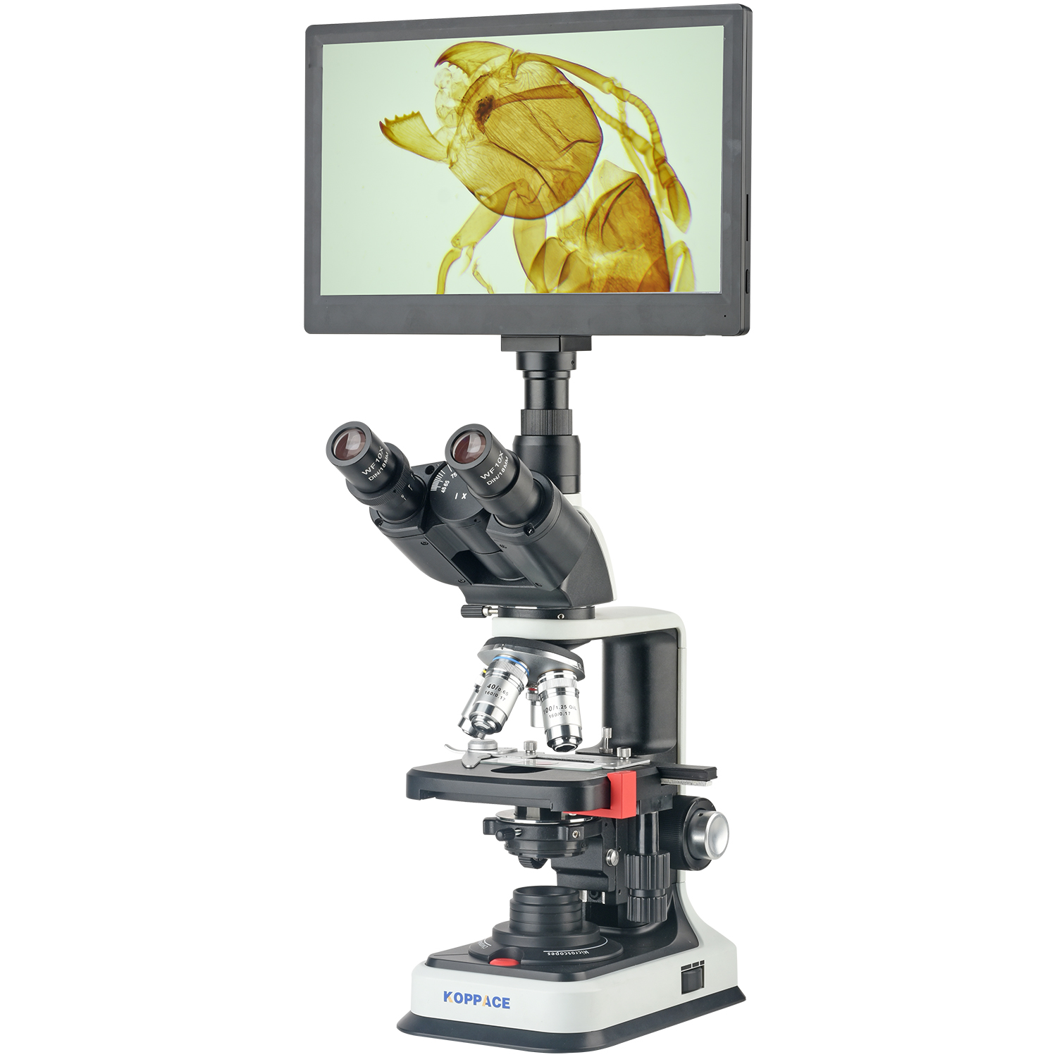 KOPPACE 40X-2500X Electron Com - Microscope Compound 40X review and price