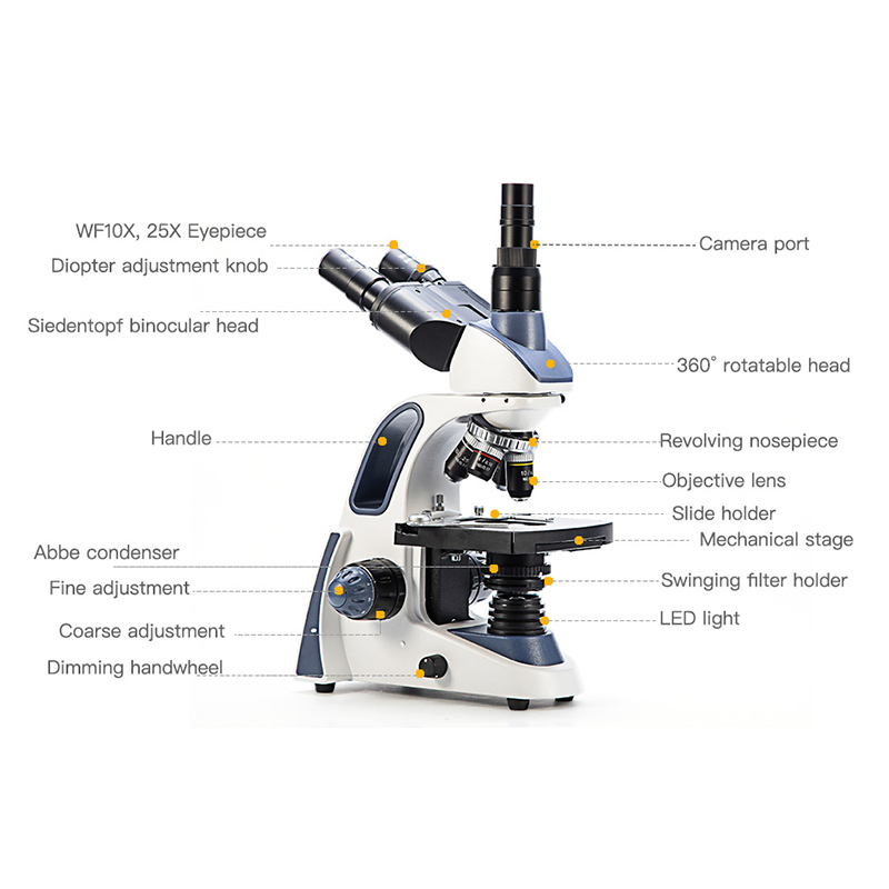 SWIFT SW380T Compound Trinocul - Microscope Compound 40X review and price
