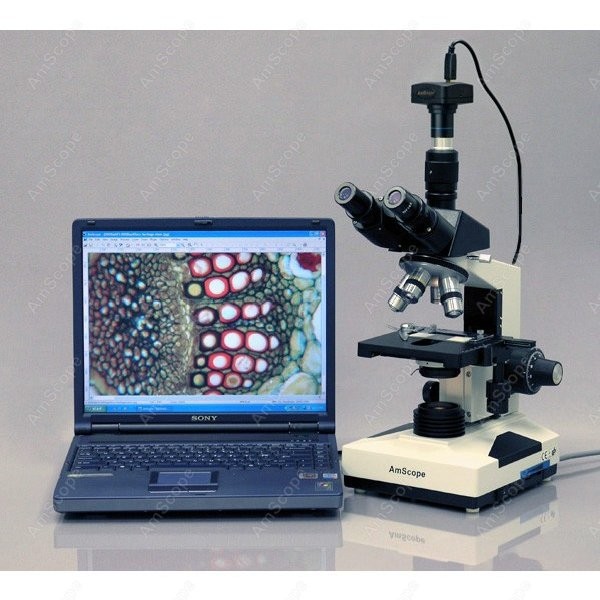 AmScope T490 Series Simul-Foca - Microscope Compound 40X review and price