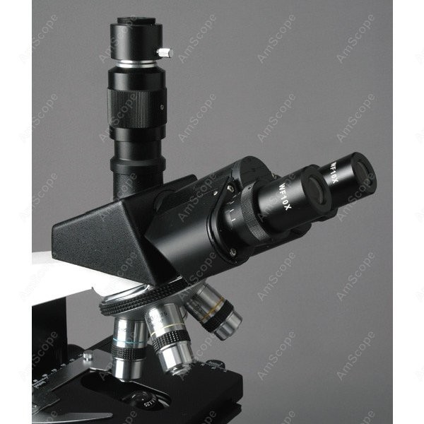 AmScope T490 Series Simul-Foca - Microscope Compound 40X review and price