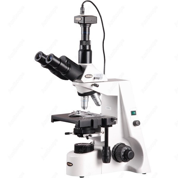 AmScope 40X-2500X Infinity Koh - Microscope Compound 40X review and price