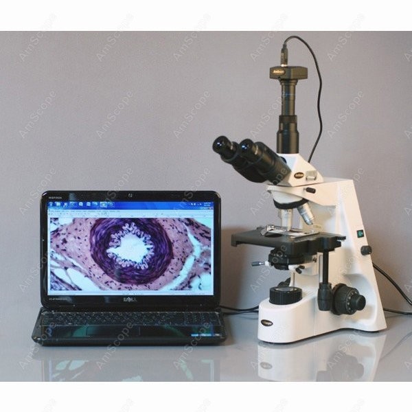 AmScope 40X-2500X Infinity Koh - Microscope Compound 40X review and price