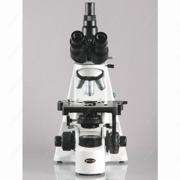 AmScope 40X-2500X Infinity Koh - Microscope Compound 40X review and price