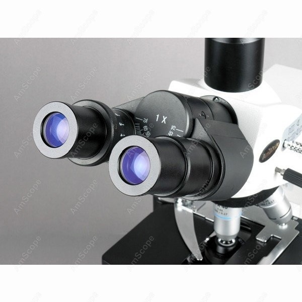AmScope 40X-2500X Infinity Koh - Microscope Compound 40X review and price