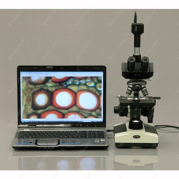 AmScope T390 Series Biological - Microscope Compound 40X review and price