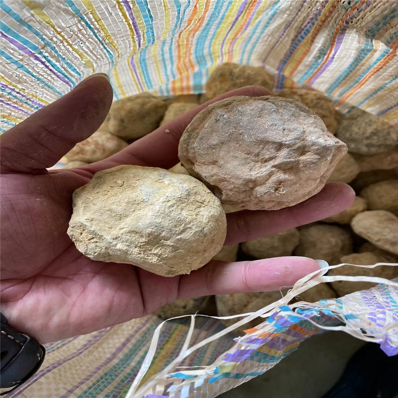 Break Your Own Geodes Natural  - Geode Crystal Break review and price