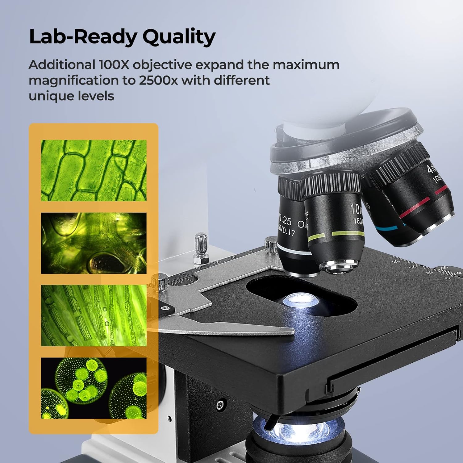40X-2500X Trinocular Compound  - Microscope Compound 40X review and price